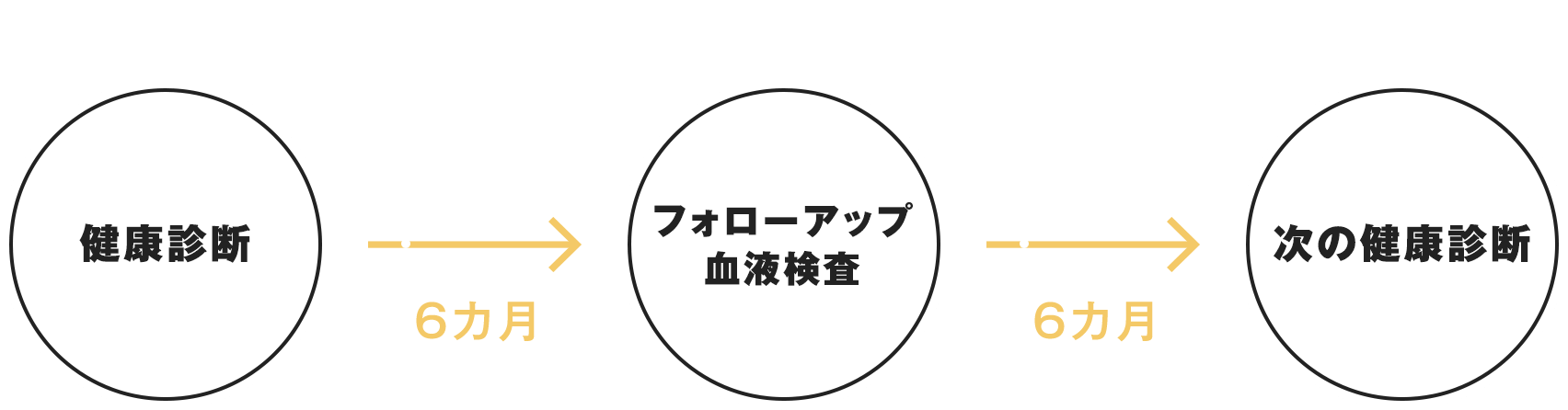 KRDサイクル。健康診断と6ヶ月後のフォローアップ血液検査、そしてその6ヶ月後に次の健康診断。
